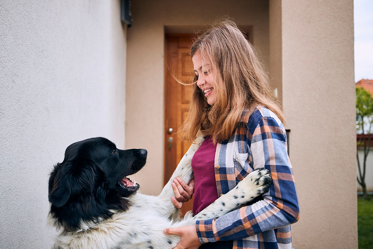 La Nueva Terapia® y cómo tratar a los animales 