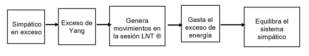 El sistema nervioso autónomo